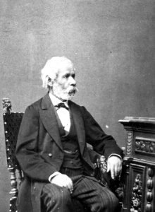 Arany János (Ellinger Ede felvétele, 1880)