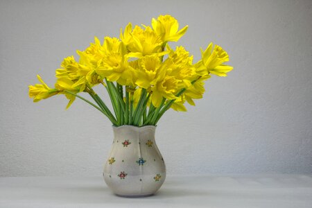Easter nature vase photo