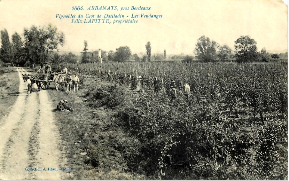 Arbanats - vendanges de Clos Daillaidan