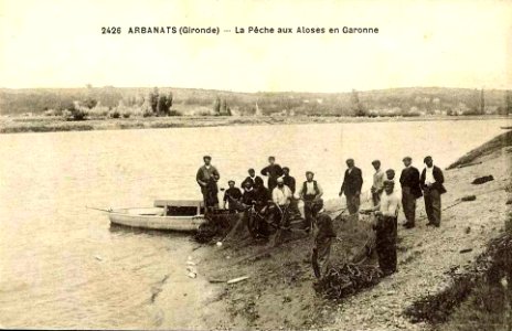 Arbanats - Pêche à l'Alose