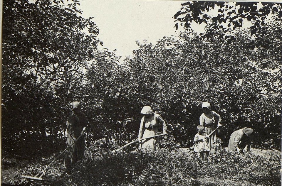 Arbeitende ital. Weiber in Franzenigo (BildID 15669153)