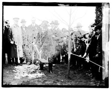 Arbor day, 1920 (...) LCCN2016827820