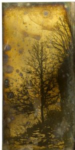 Arbre, chemin et falaise, par Girault de Prangey