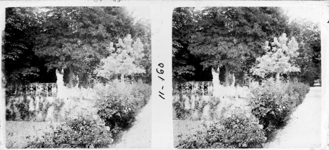 Arbres i plantes als jardins de Martí-Codolar