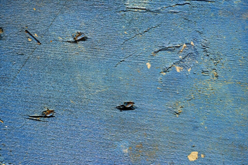 Wood blue wood blue wall