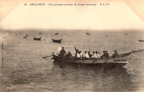 Arcachon - Bassin plaisance 15
