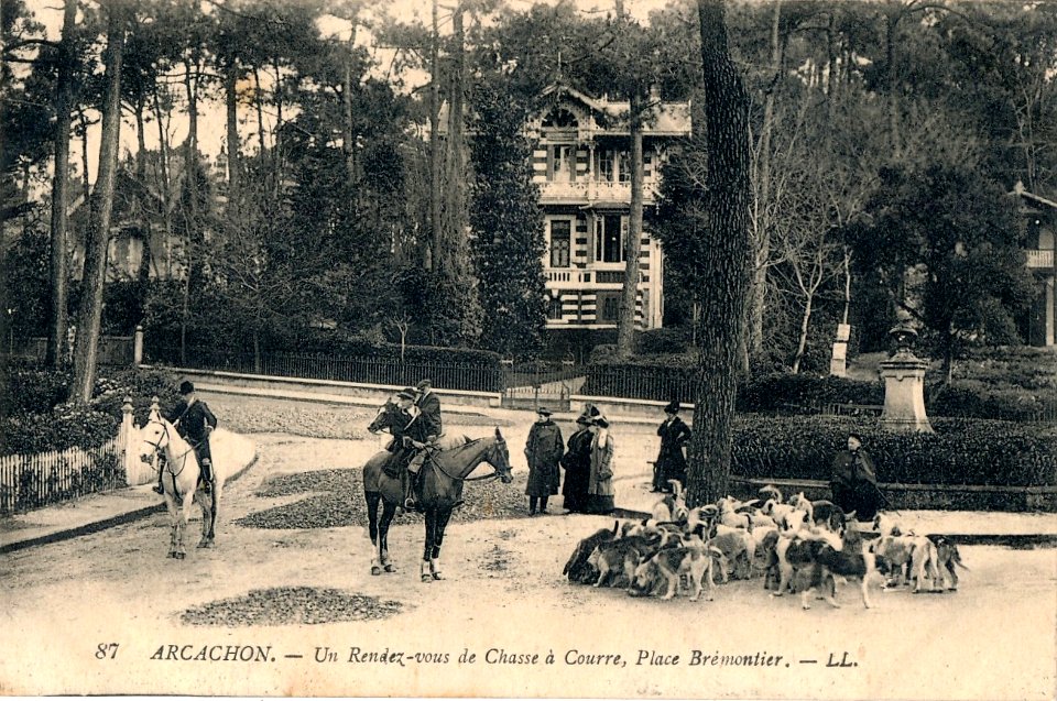 Arcachon - Chasse à courre 11