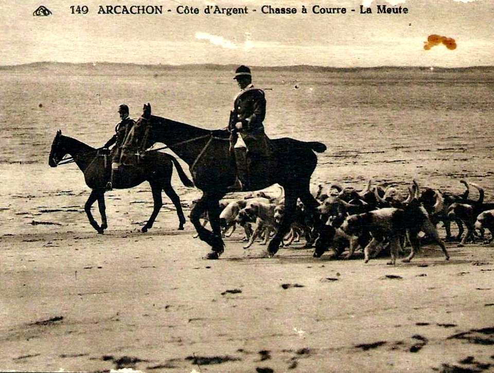 Arcachon - Chasse à courre 7