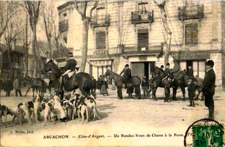 Arcachon - Chasse à courre 18