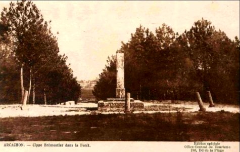 Arcachon - Forêt Cippe de Brémontier