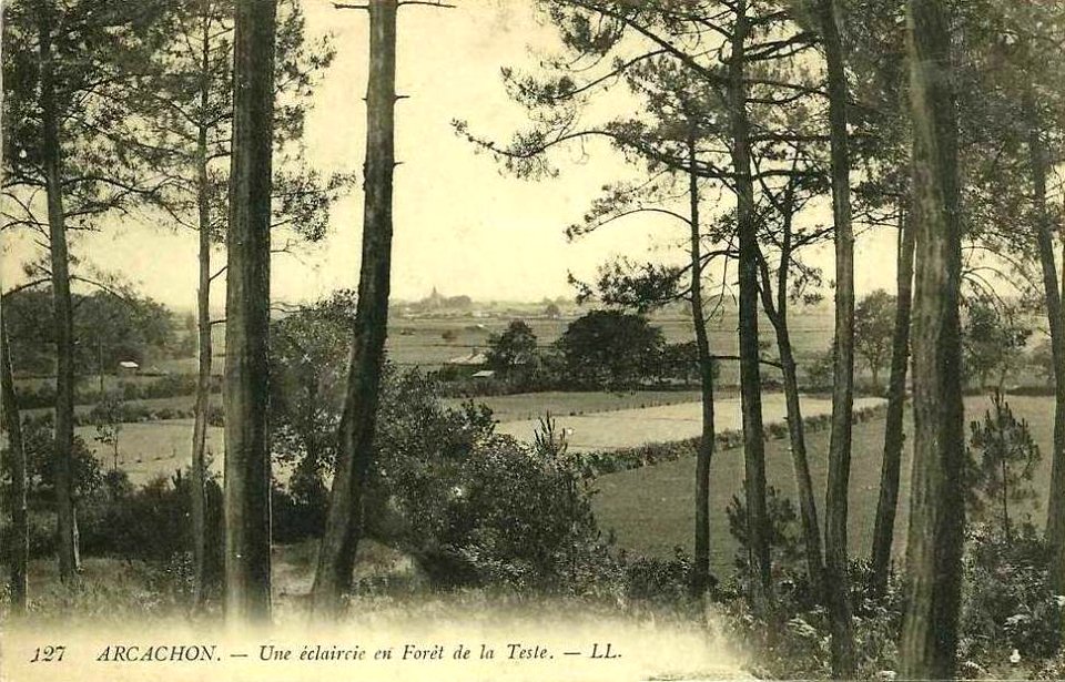 Arcachon - forêt de La Teste