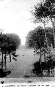 Arcachon - Forêt dunes 1