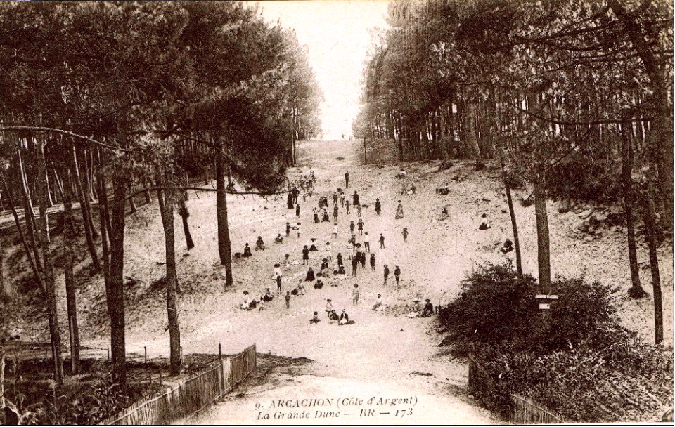 Arcachon - Forêt dunes 3
