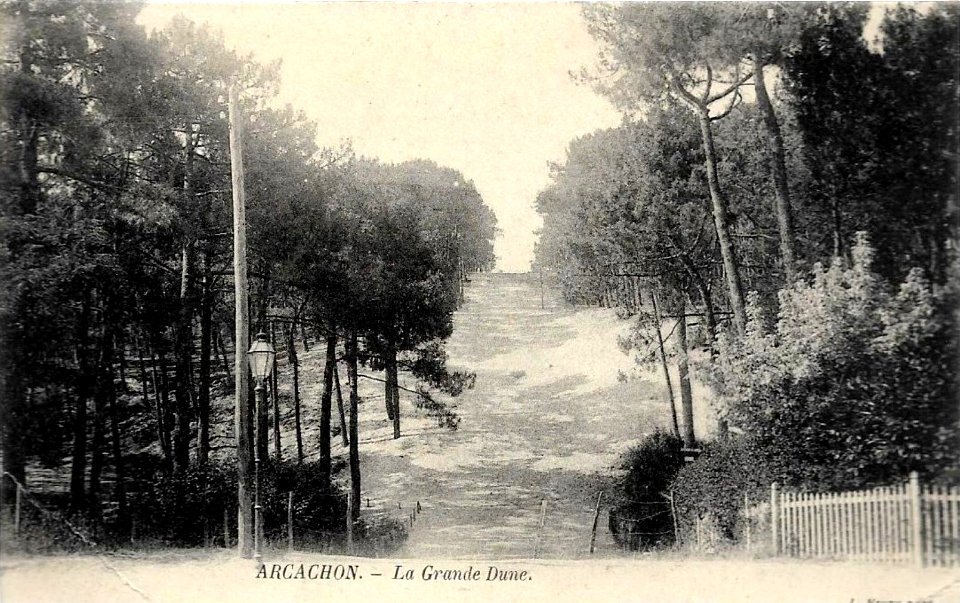 Arcachon - Forêt dunes 11
