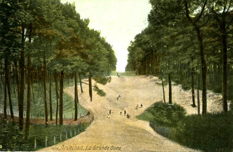 Arcachon - Forêt dunes 5