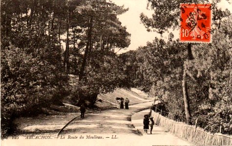 Arcachon - Forêt route de Moulleau 3a