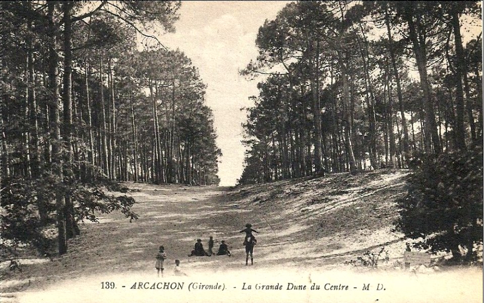 Arcachon - Forêt dunes 2