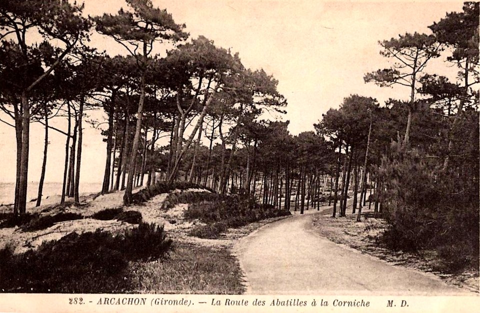 Arcachon - Forêt route des Abatilles 2