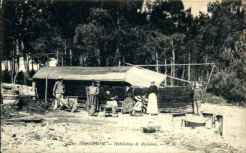 Arcachon - Forêt résinier 5a