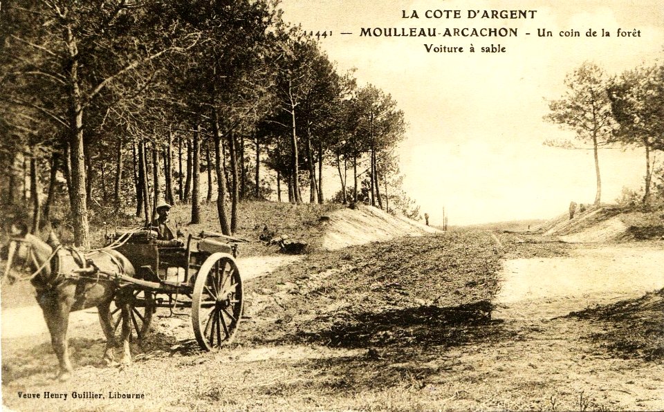 Arcachon - Forêt voiture à sables 4