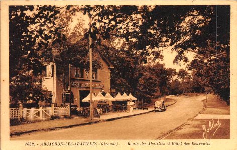 Arcachon - Hôtel des Ecureuils photo