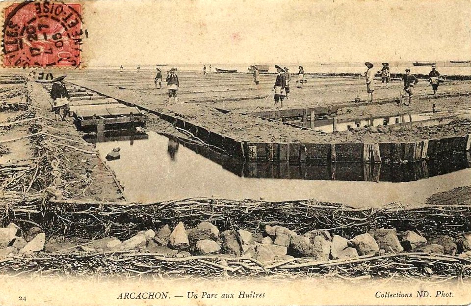 Arcachon - parc aux huitres 2