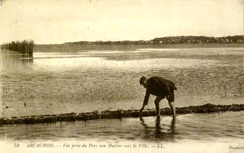 Arcachon - parc aux huitres 1