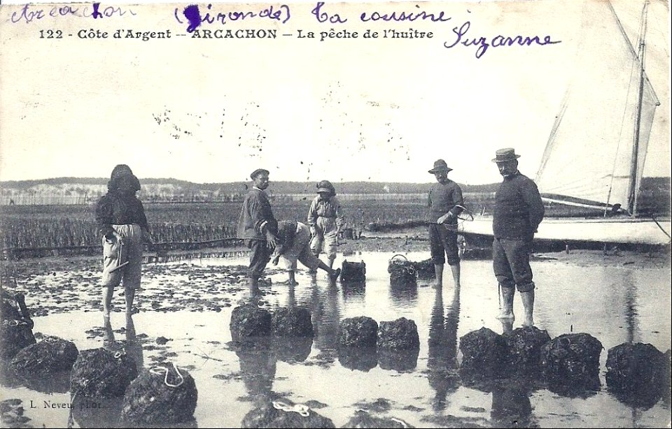 Arcachon - travail au parc aux huitres 18