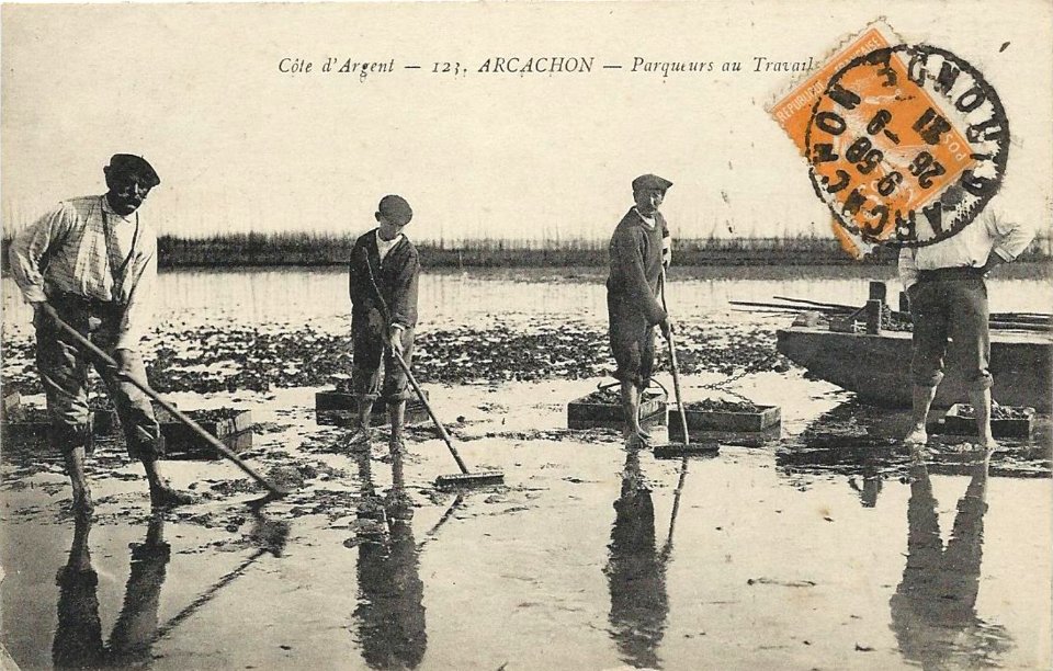 Arcachon - travail au parc aux huitres 9