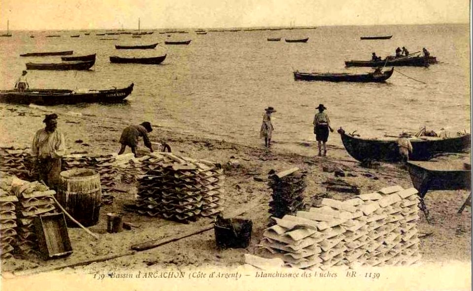 Arcachon - travail de nettoyage 6
