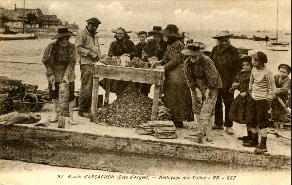 Arcachon - travail de nettoyage 1