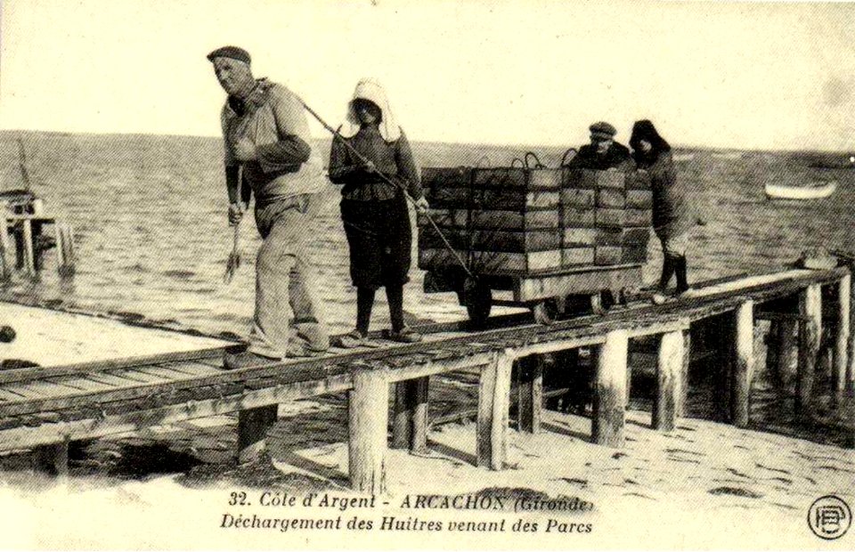Arcachon - travail à terre 4