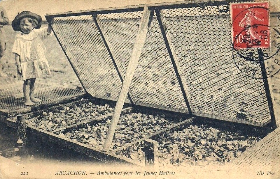 Arcachon - travail à terre 1