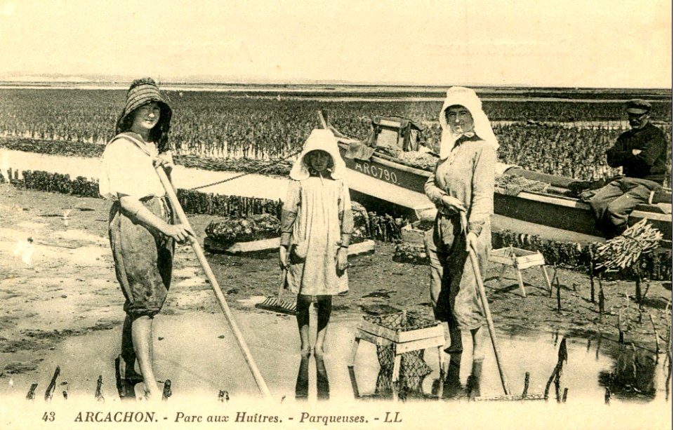 Arcachon - travail à terre 6