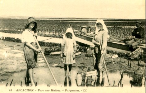 Arcachon - travail à terre 6