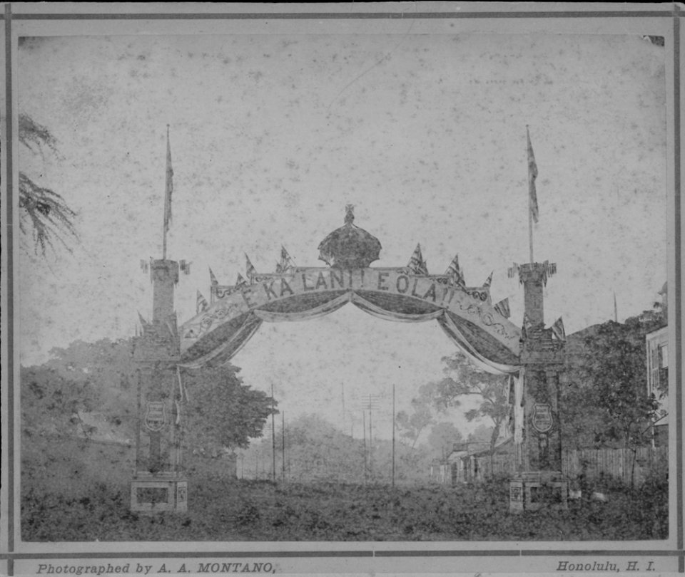 Arch welcoming King Kalakaua home from trip around the world, photograph by A. A. Montano (PP-36-10-007)