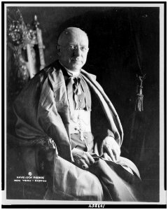 Archbishop Dowling, three-quarter length portrait, seated, facing slightly right LCCN91781043
