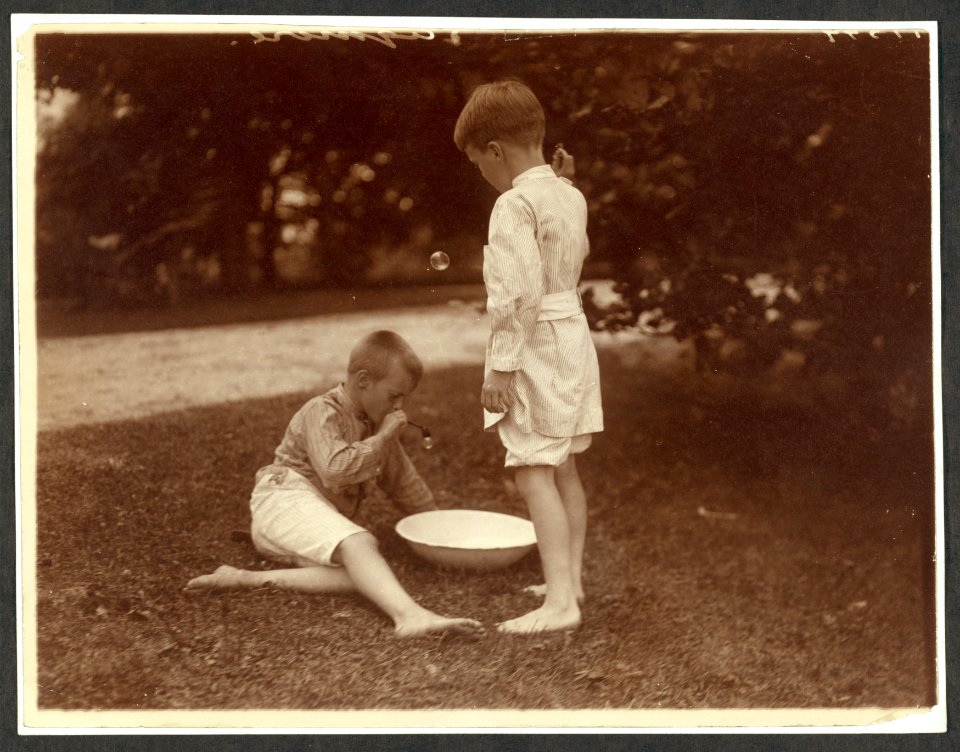 Archie & Quentin Roosevelt LCCN2009633570