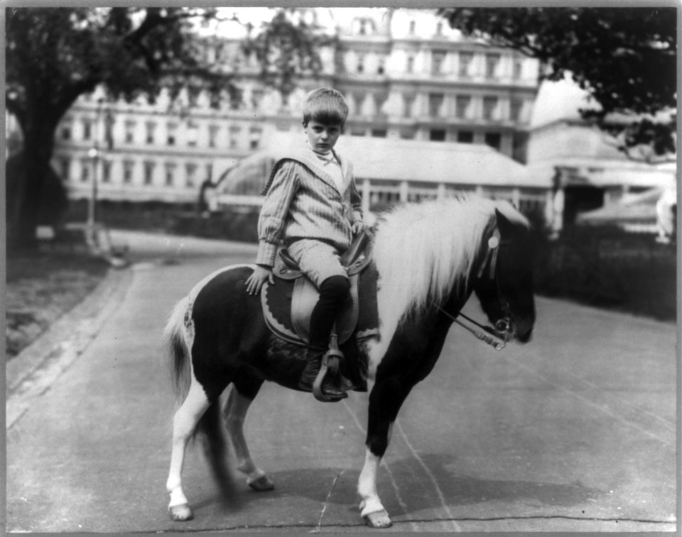 Archie Roosevelt on pony, Algonquin LCCN2001703914