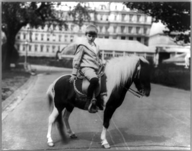 Archie Roosevelt on pony, Algonquin LCCN2001703914