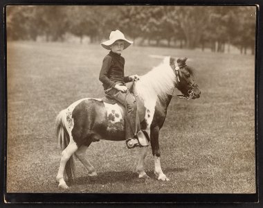 Archie Roosevelt on pony LCCN89712952