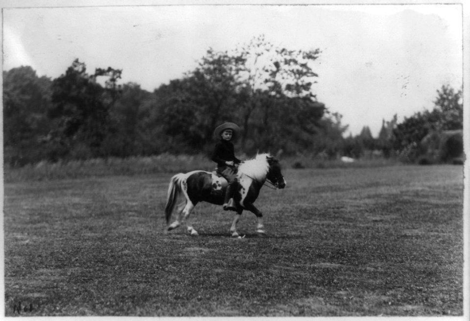 Archie Roosevelt riding pony LCCN89712955