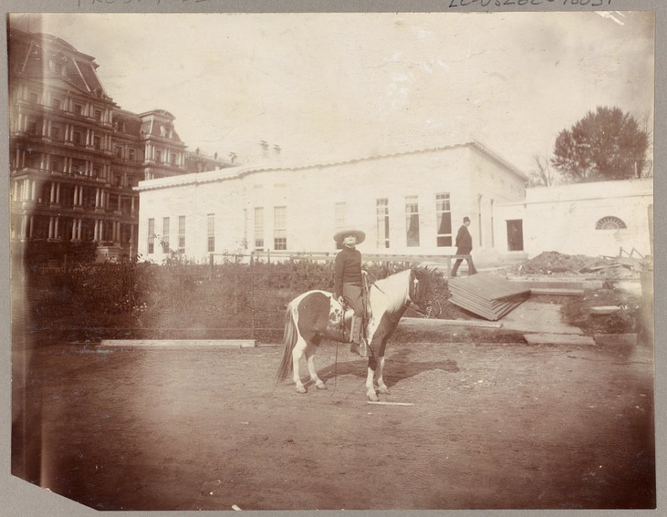 Archie Roosevelt, full-length portrait, on his calico Shetland pony Algonquin, facing right; in front of the new White House offices LCCN97502211
