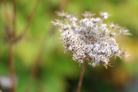 Natural nature spring