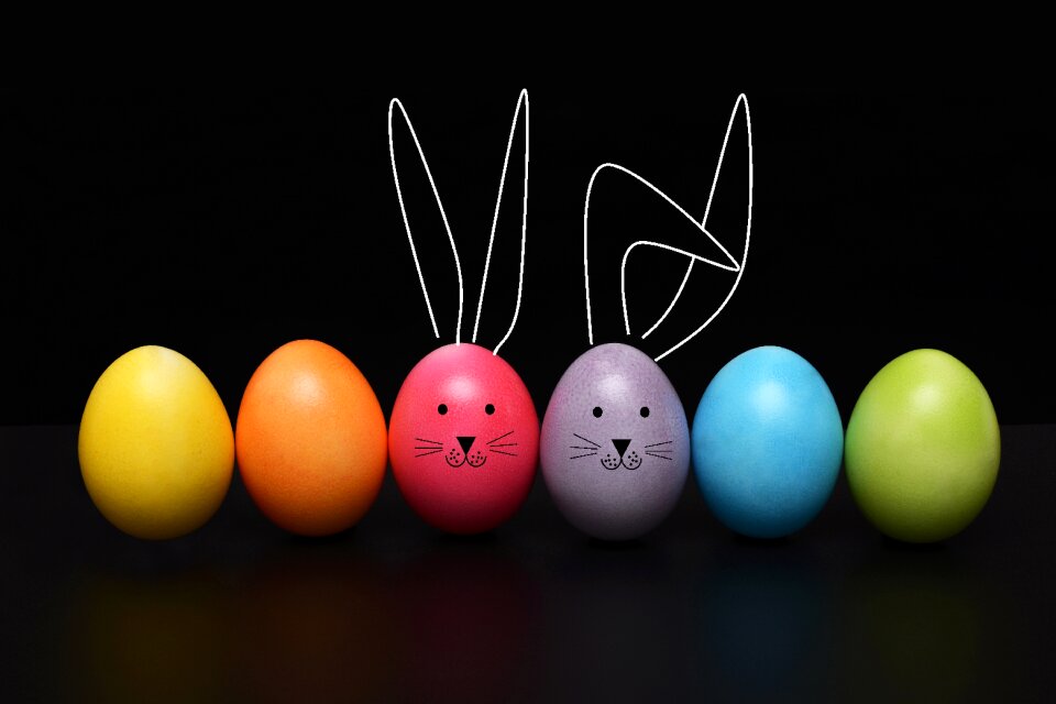 Rabbit ears funny