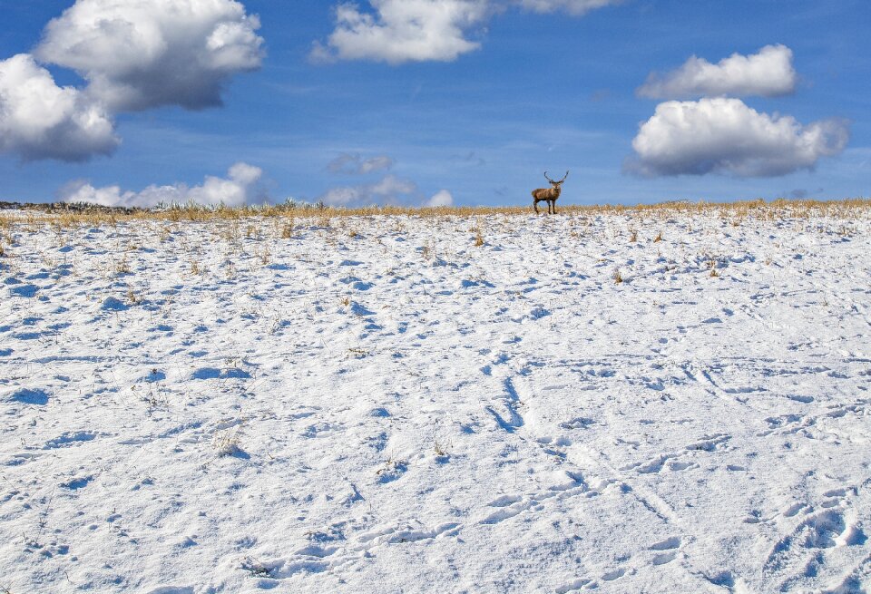 Snow winter sky