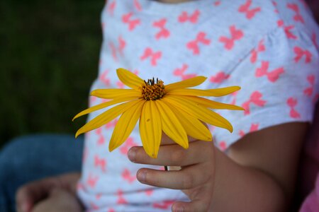 Child's hand pick flowers children