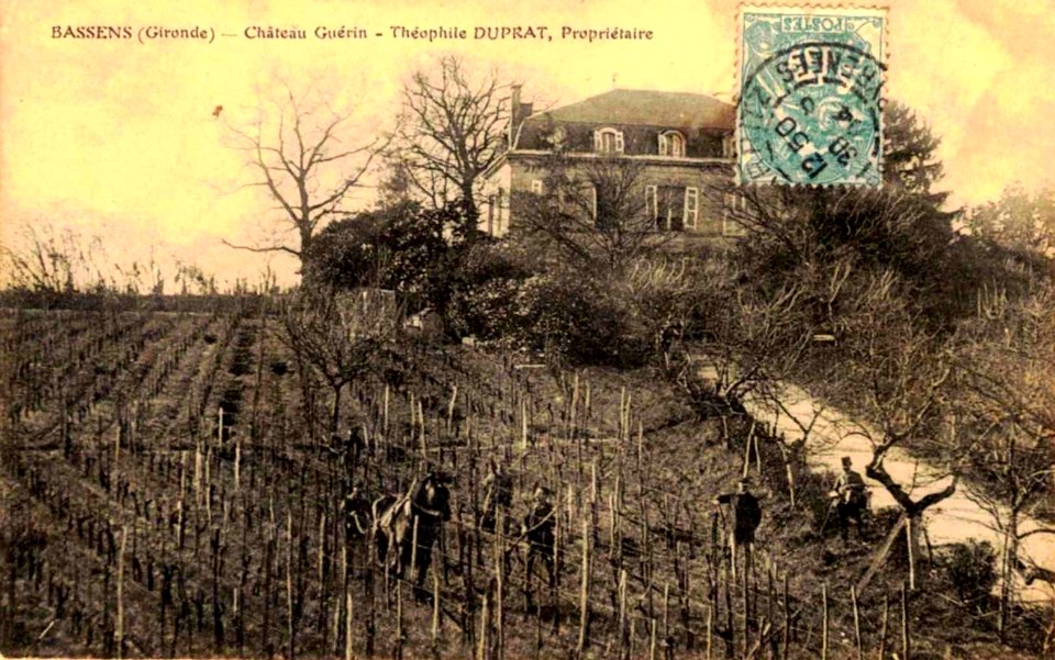 Bassens - château Guérin 1