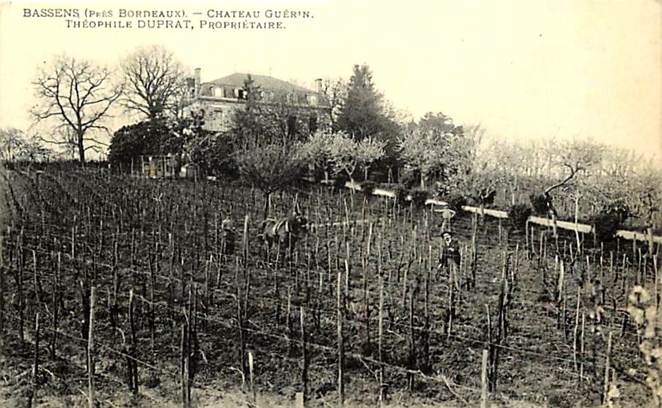 Bassens - château Guérin 2