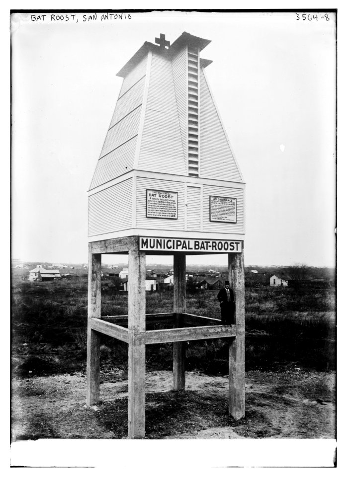 Bat Roost, San Antonio LCCN2014699615